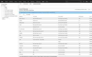 use-case-audit-lizenz-report